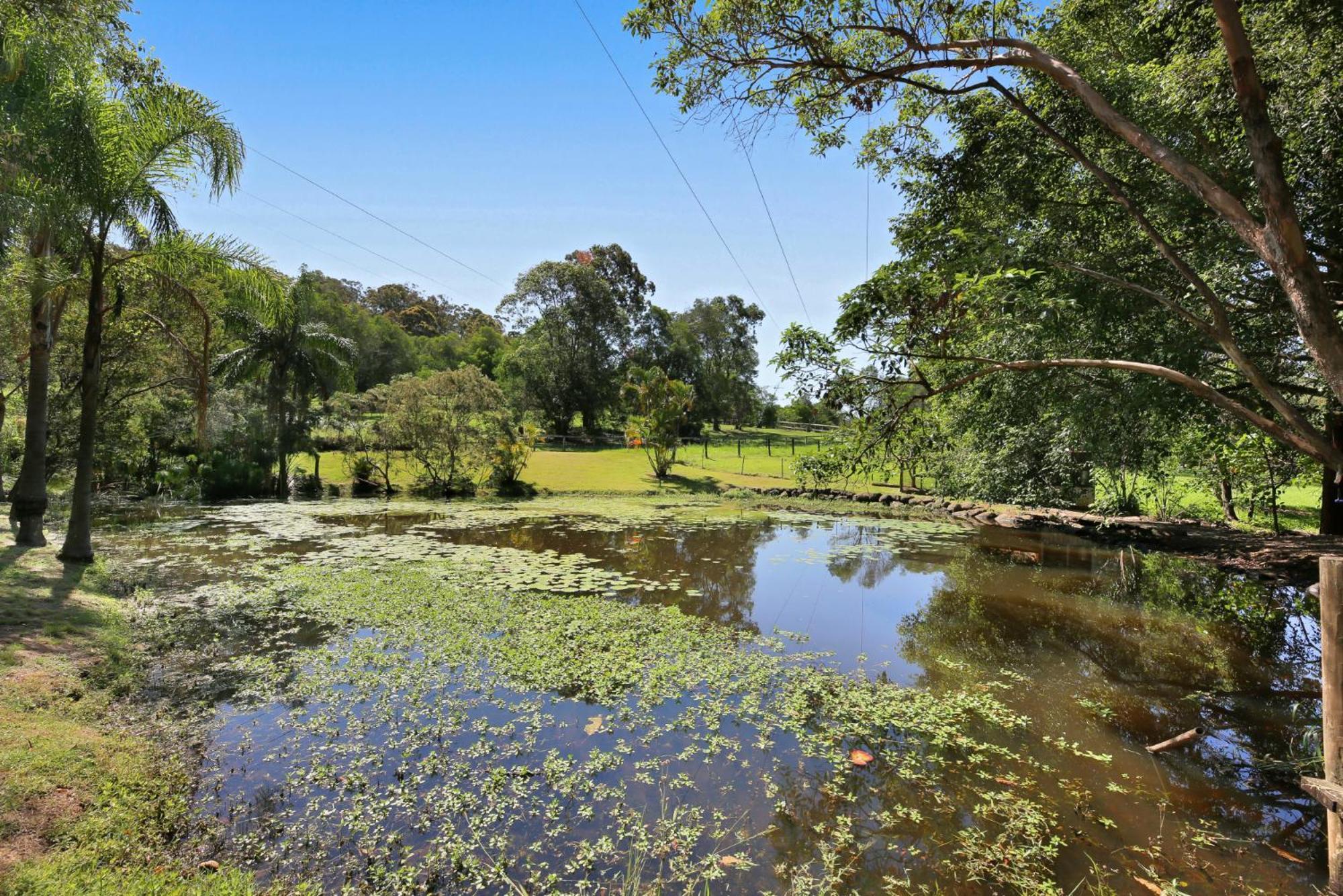 Spacious 4-bed Hinterland Luxury Escape With Pool