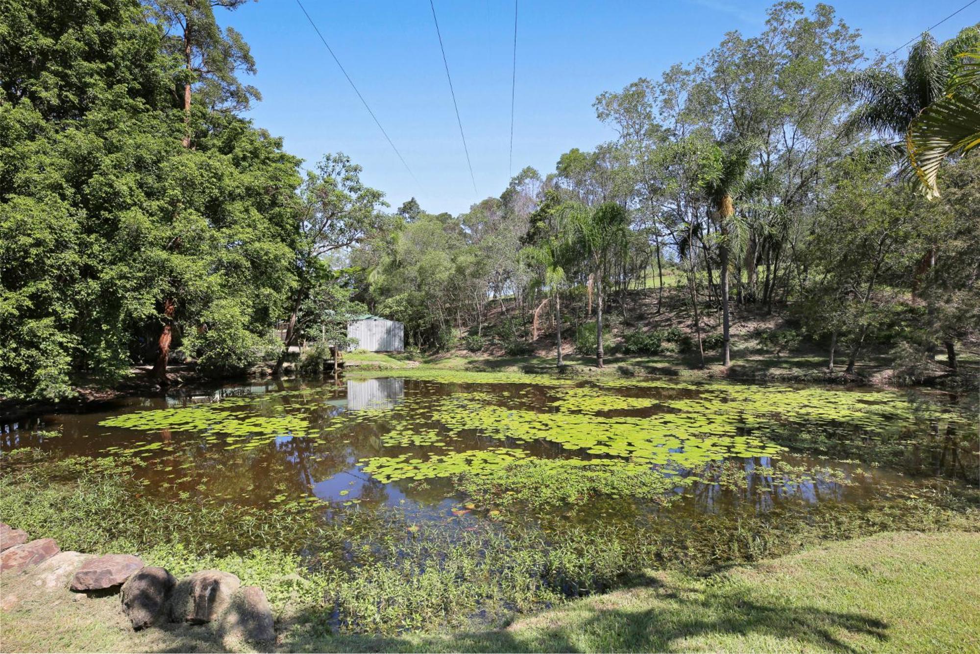 Spacious 4-bed Hinterland Luxury Escape With Pool Gold Coast